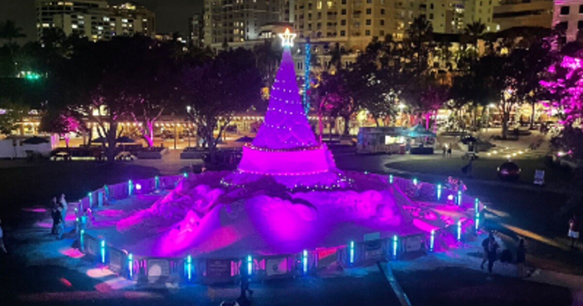 Sandi Tree To Be Lit In Downtown West Palm Beach sandi-tree-to-be-lit-in-downtown-west-palm-beach